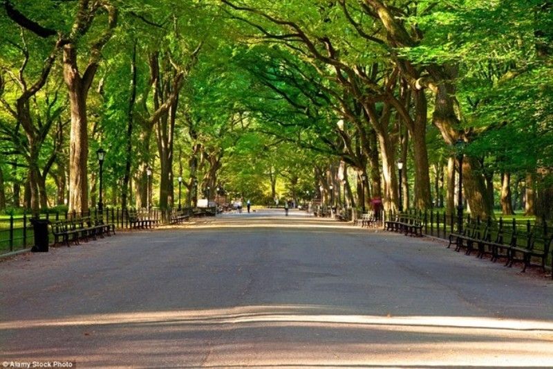 Đường ở công viên trung tâm, Manhattan, New York, Mỹ