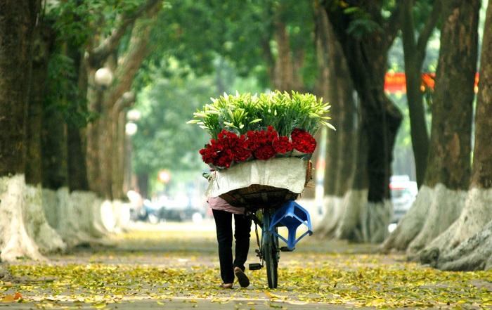 Buổi sáng tinh sương trong lành trên đường Phan Đình Phùng