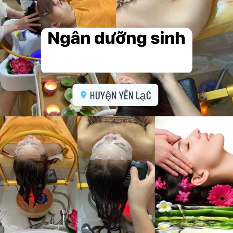 Dưỡng sinh Đông y - Tuệ Minh Đường