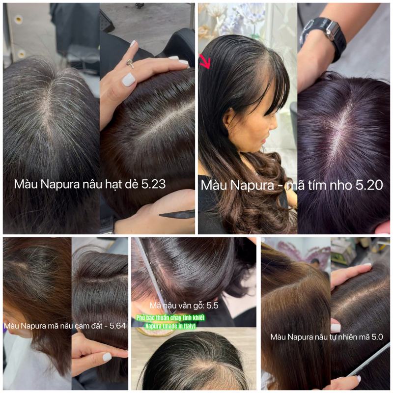 Dương Tây Hairsalon