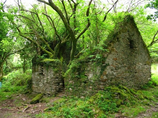 Men theo con đường mòn Kerry, du khách có thể khám phá những điều vô cùng thú vị về quốc đảo Ireland