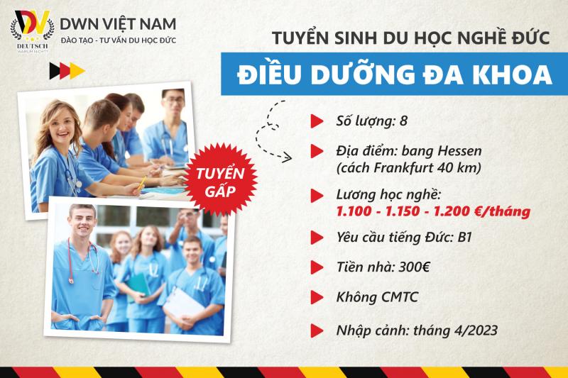 DWN Việt Nam