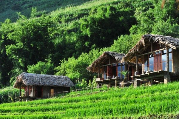 Eco Palms House - Sapa Retreat