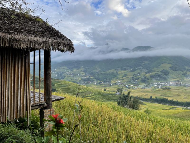 Eco Palms House - Sapa Retreat