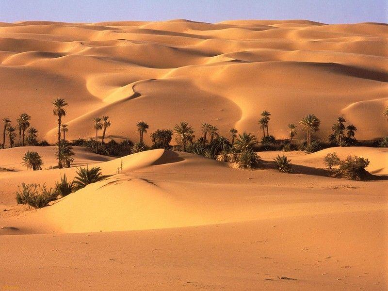 Nắng nóng cao thường xuyên ở El Azizia