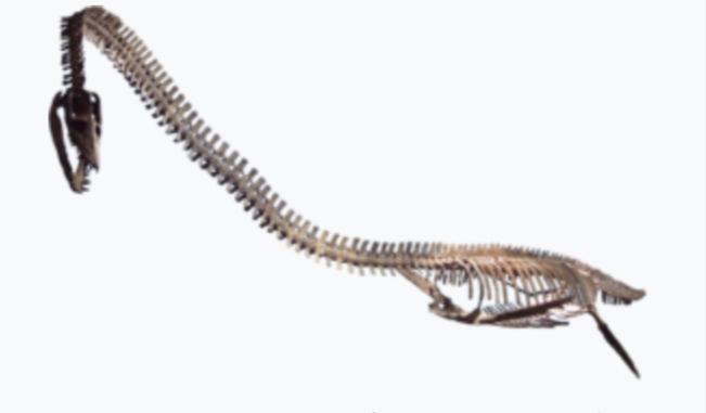 Elasmosaurus