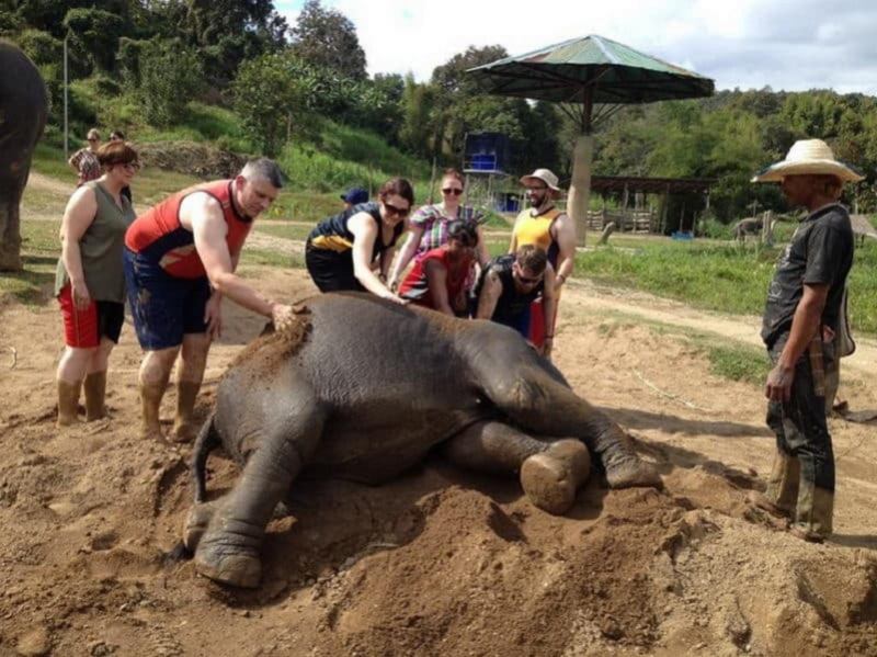 Elephant Retirement Park