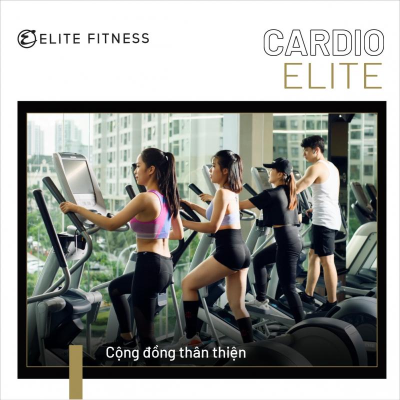 Elite Fitness