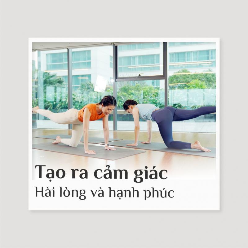 Elite Fitness Hạ Long