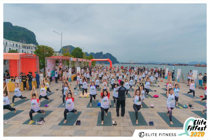 ﻿﻿Elite Fitness Lý Thường Kiệt