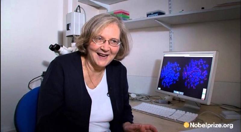 Elizabeth Blackburn  đã đạt giải thưởng Nobel về Y học năm 2009