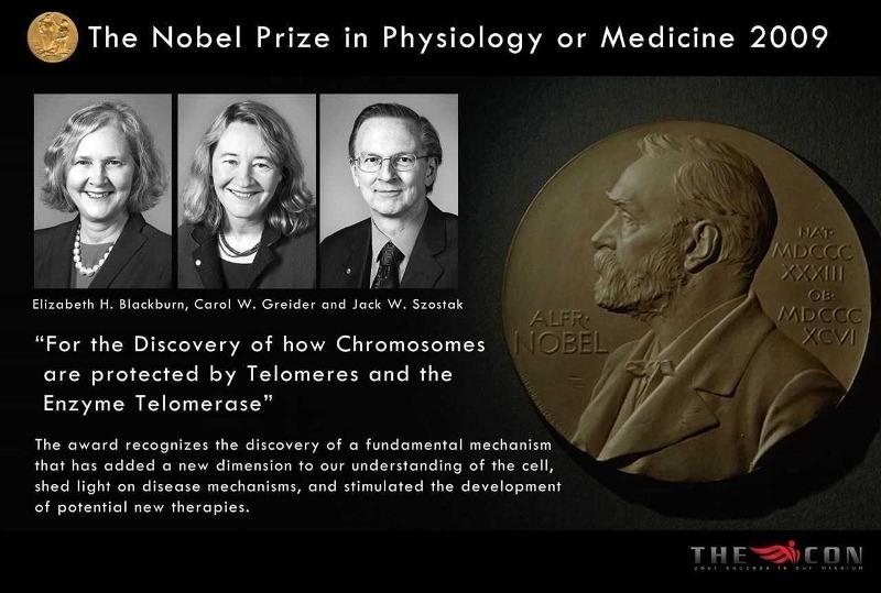 Elizabeth H. Blackburn - Nobel Sinh lý học và Y khoa  2009