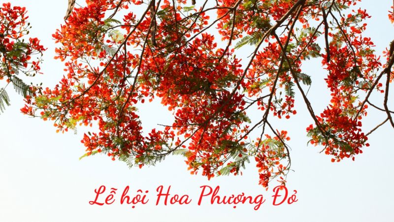 Em có về Hải Phòng