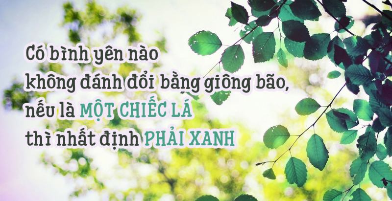 Em là chiếc lá, việc của em là xanh