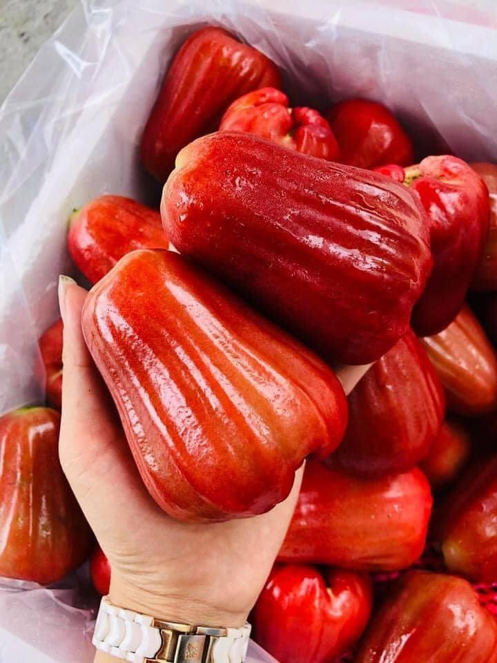 F99 - Trái Cây Nhập Khẩu Hàng Đầu Việt Nam đáp ứng nhu cầu của khách hàng về sản phẩm hoa quả nhập khẩu “chính hãng chất lượng nhất”, “giá cả hợp lí nhất”