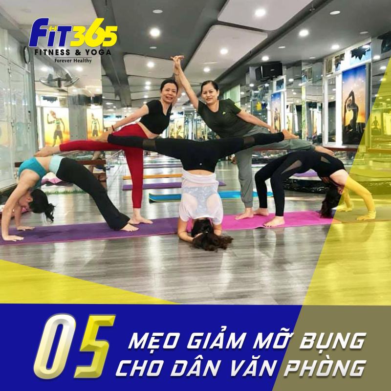 Fit365 Fitness &Yoga Phú Thọ