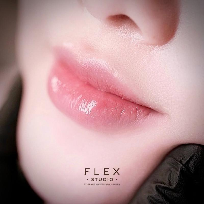 Flexstudio Lips And Eyebrows