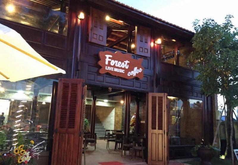 Forest Coffee Forest Coffee