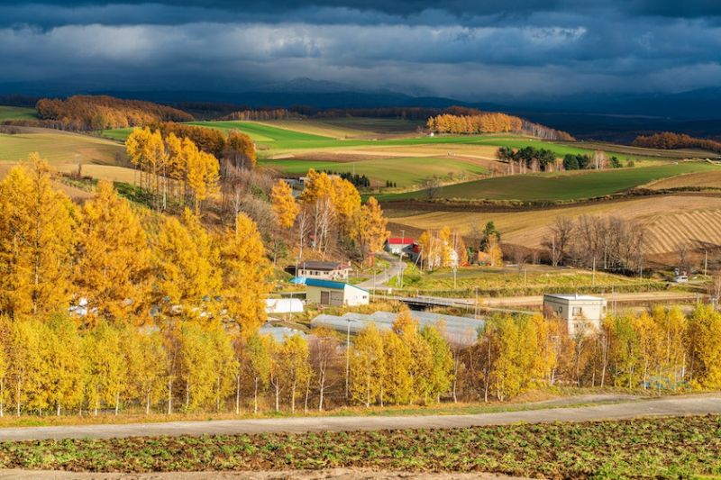 Furano