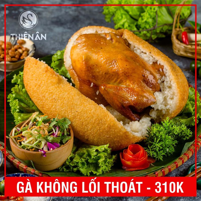 Gà Mẹt Thiên Ân - Thượng Đỉnh Gà