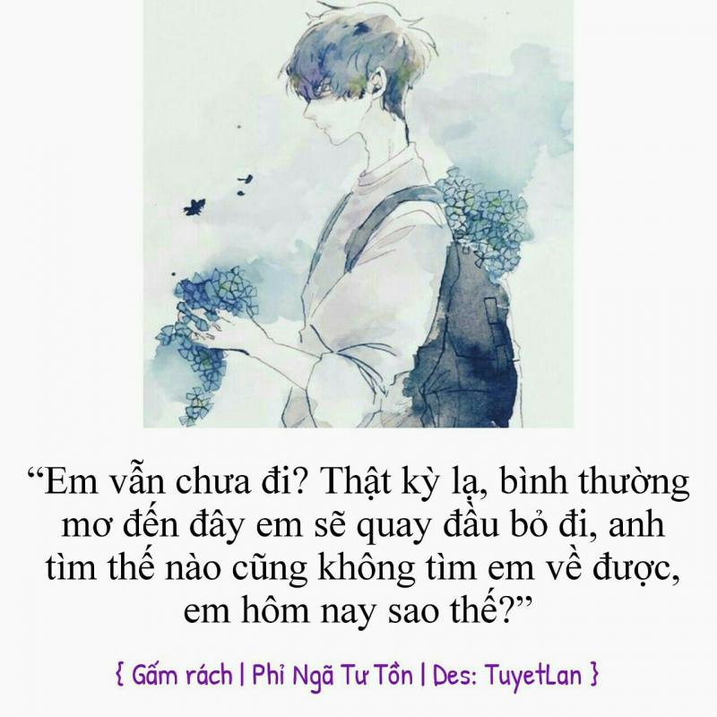 Gấm rách