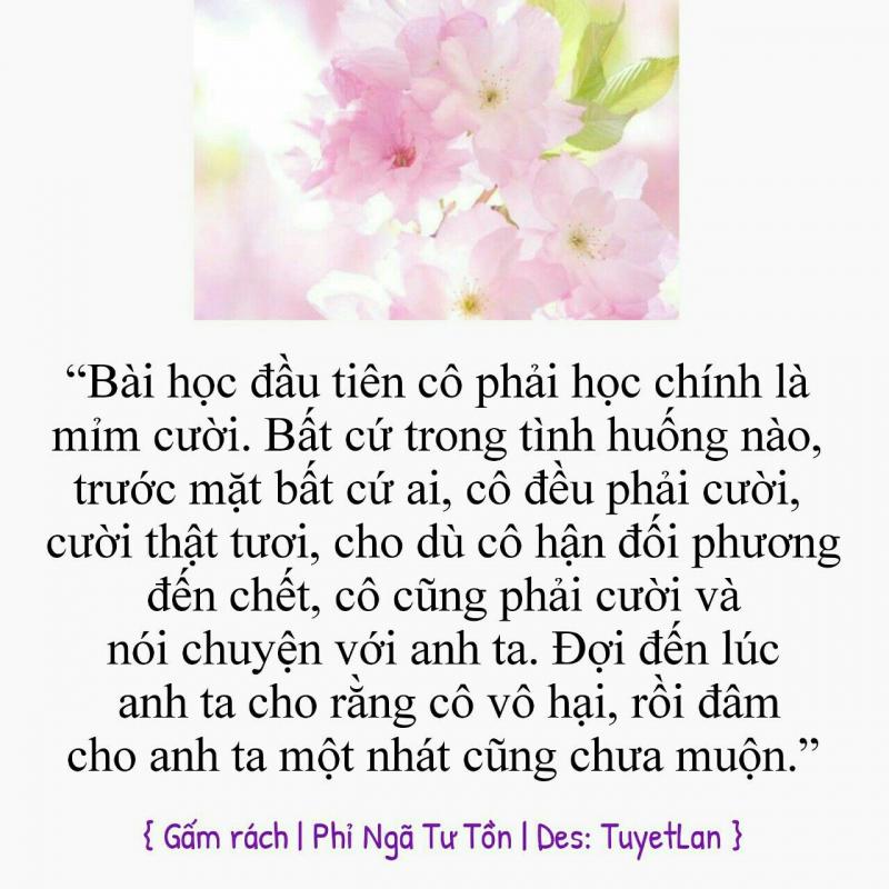 Gấm rách - Phỉ Ngã Tư Tồn