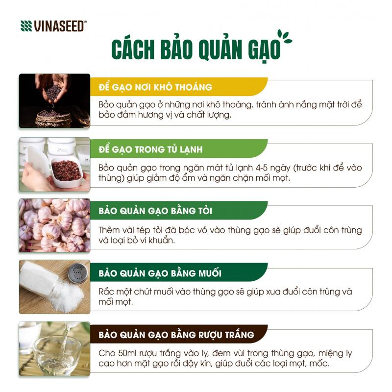 Gạo lứt đen Phúc Thọ Vinaseed