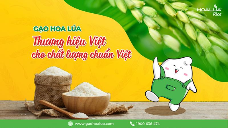 Gạo Sạch Hoa Lúa