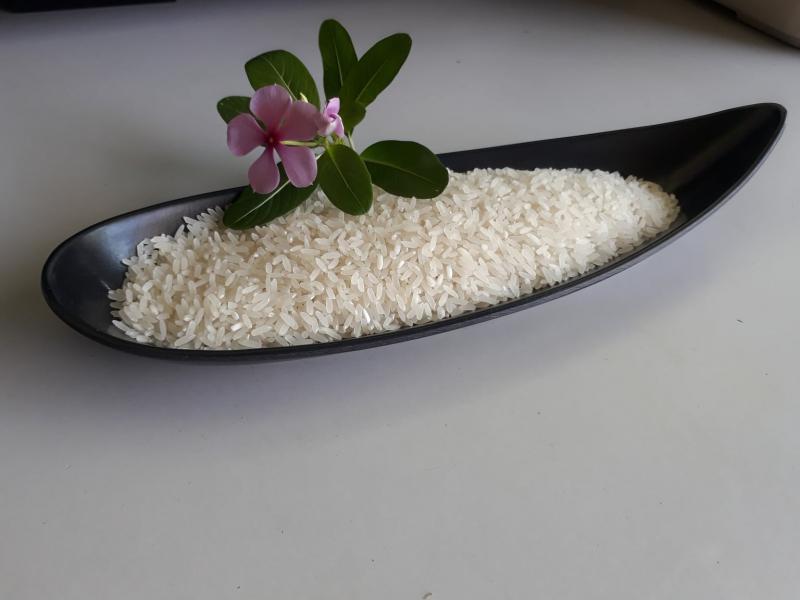 Gạo thơm ManGo - Hương của núi rừng