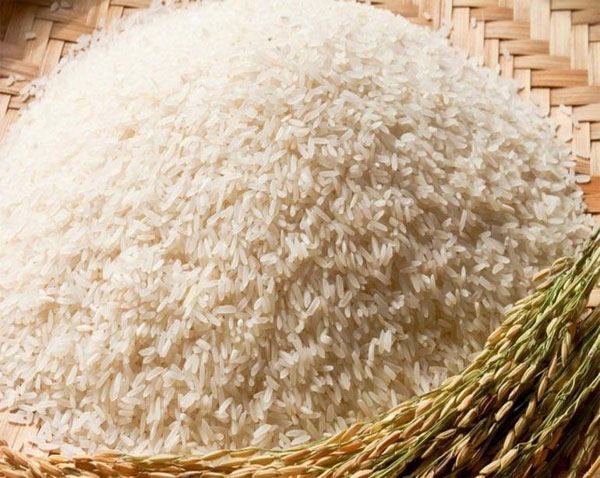 Gạo Thơm Xốp loại gạo cao sản chất lượng