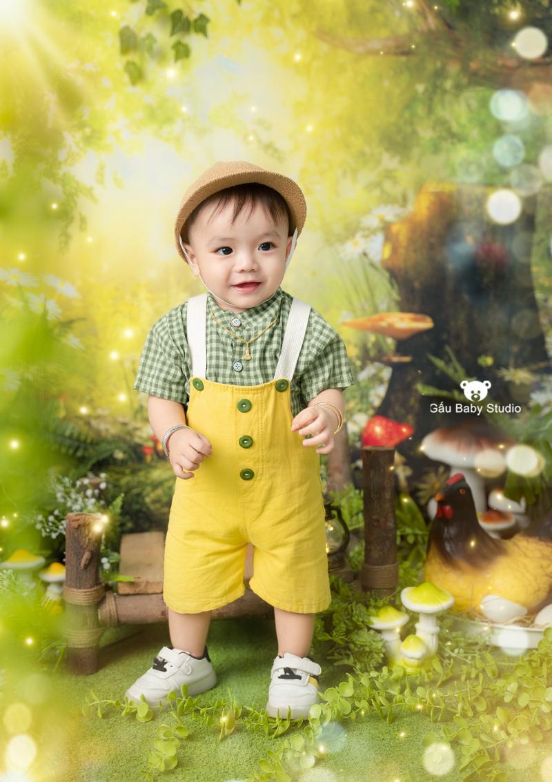 Gấu baby studio