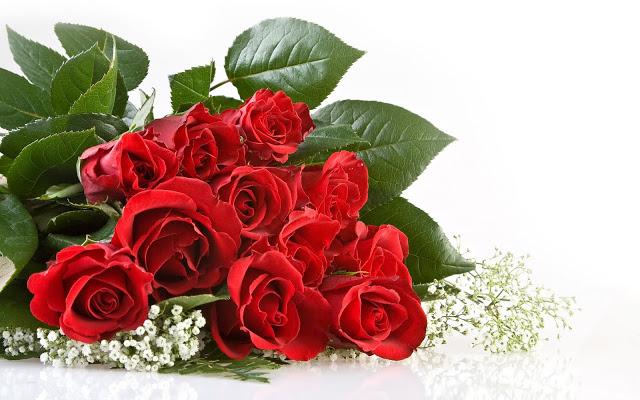 Cách tỏ tình cổ xưa là: tặng gấu bông và hoa hồng hay một loài hoa mà cô ấy yêu thích vẫn là lựa chọn siêu lãng mạn cho những chàng thích kiểu cổ điển này.