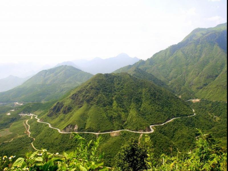 Giáo án Đi lấy mật - mẫu 1