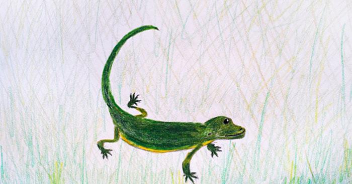 giáo án Thằn lằn xanh và tắc kè - mẫu 1