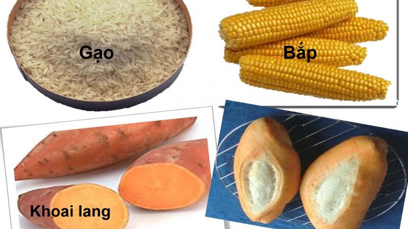 giáo án trò chuyện về 4 nhóm thực phẩm - mẫu 1