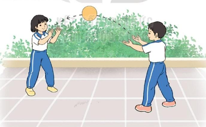 giáo án tung bắt bóng với người đối diện - mẫu 1