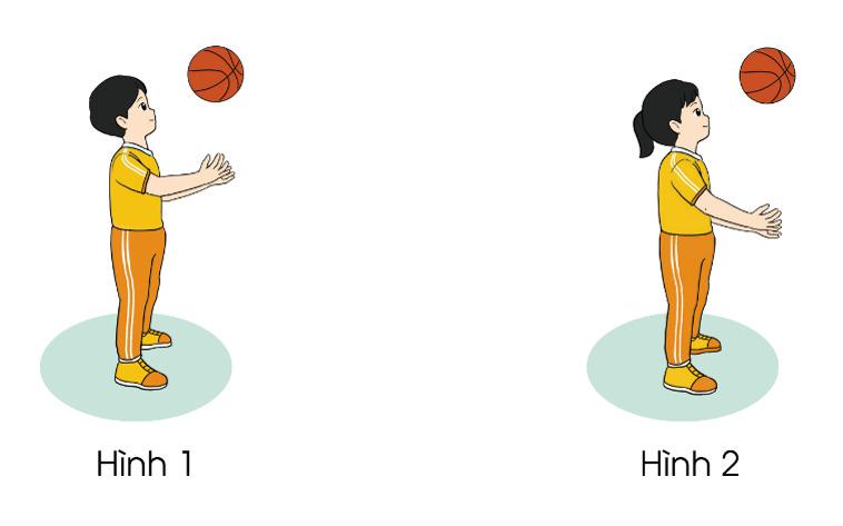 giáo án tung bóng lên cao và bắt bóng - mẫu 1