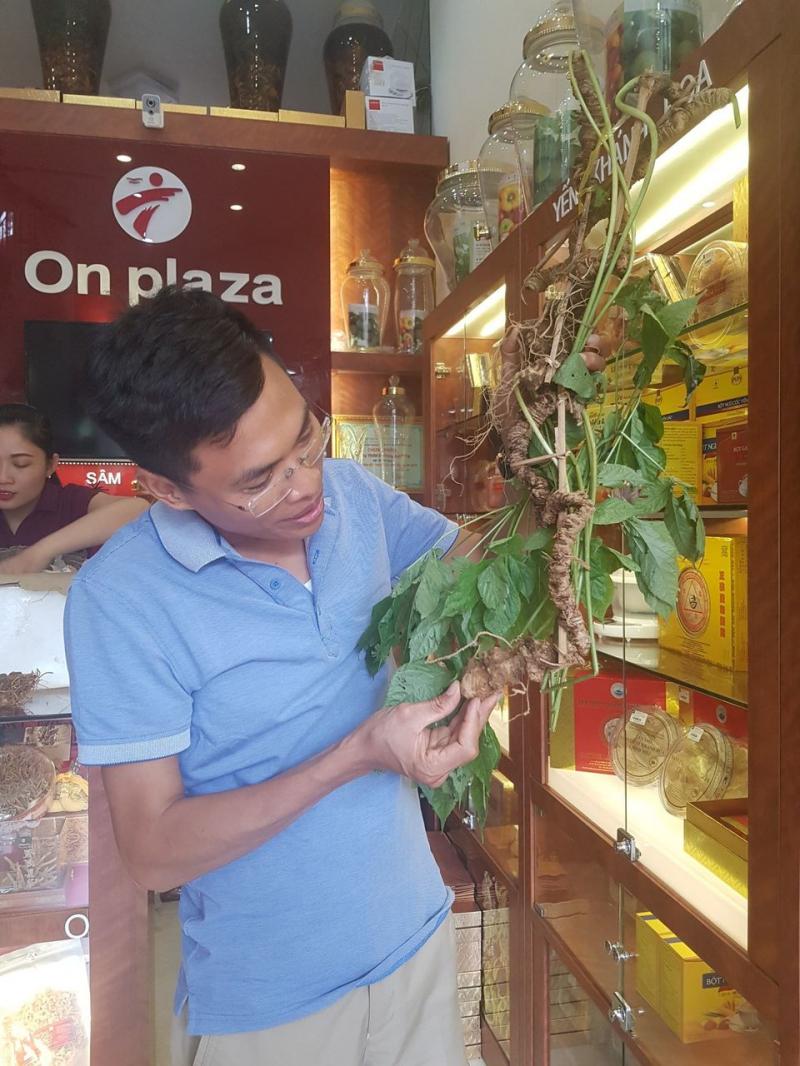 Ginseng A2000 - Quốc Bảo nhân sâm Onplaza