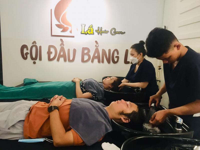 Gội Đầu Bằng Lá