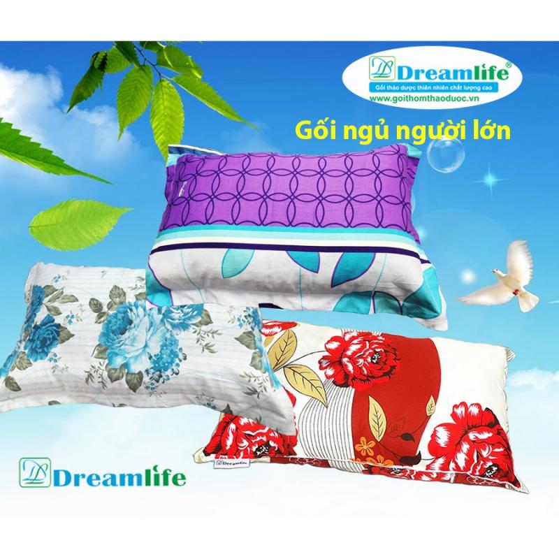 Gối đinh lăng Dreamlife