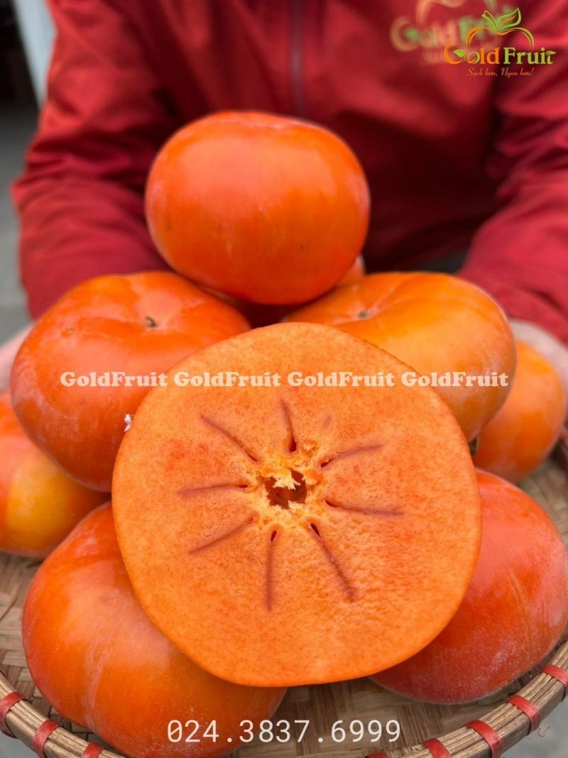 Gold Fruit - Hoa quả sạch Hà Nội