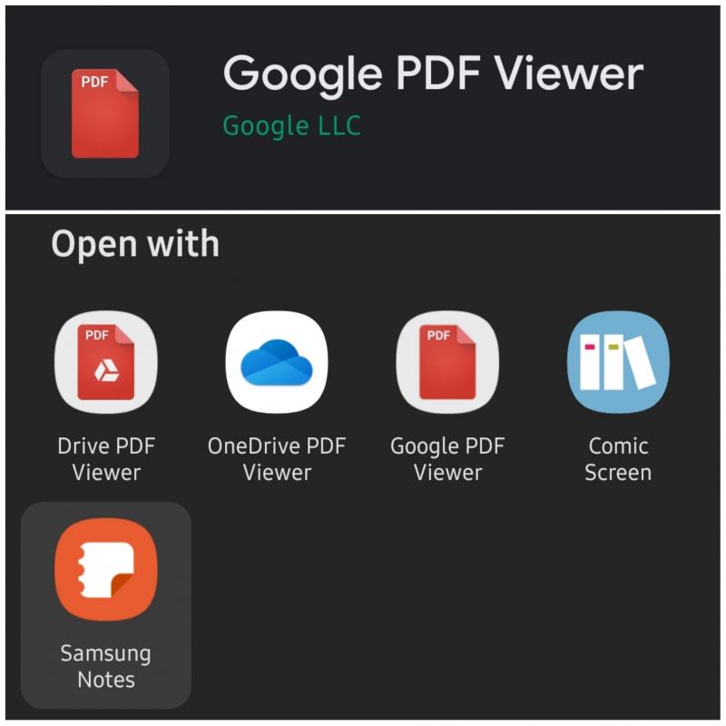 Google PDF Viewer