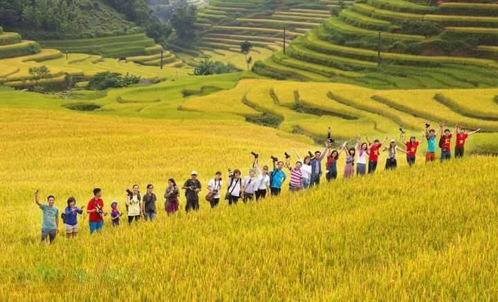 Người ta ví Hà Giang tháng 9 như một tấm dải lụa vàng óng mượt uốn lượn giữa không gian núi rừng Tây Bắc.