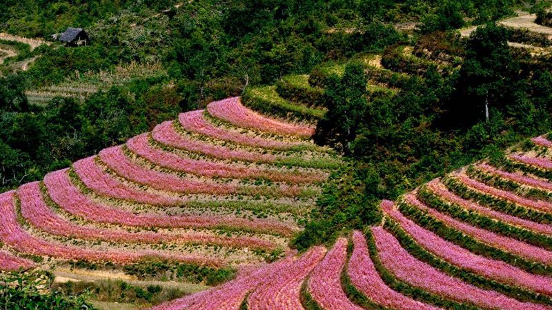 Hà Giang