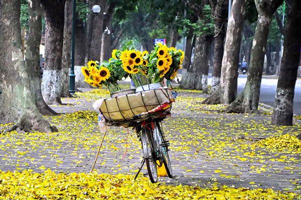 Hà Nội - mùa thu lại về