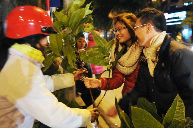 Hái lộc đầu năm