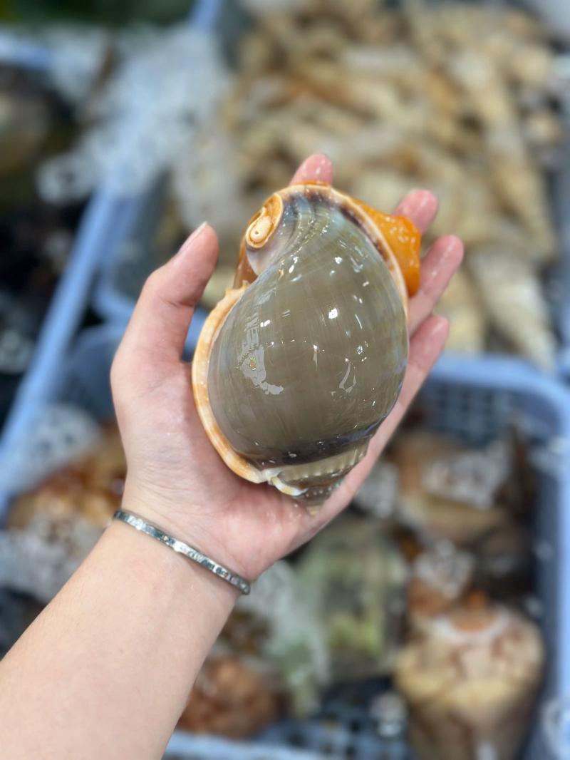 Hải Phú Thịnh - Hải Sản Tươi Sống Cần Thơ