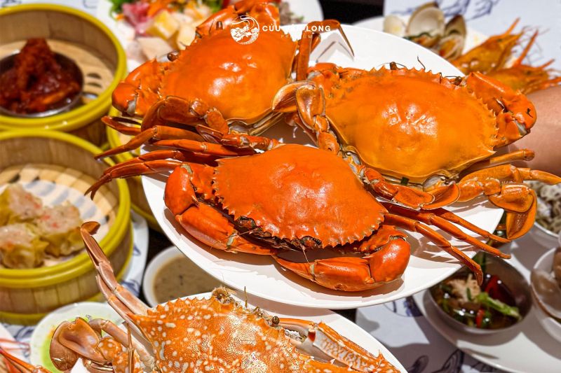 Buffet Hải Sản Cửu Vân Long