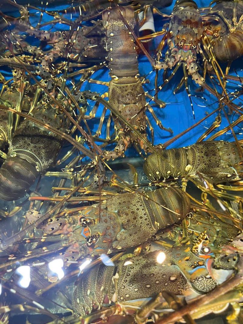 Hải Sản Định Cua