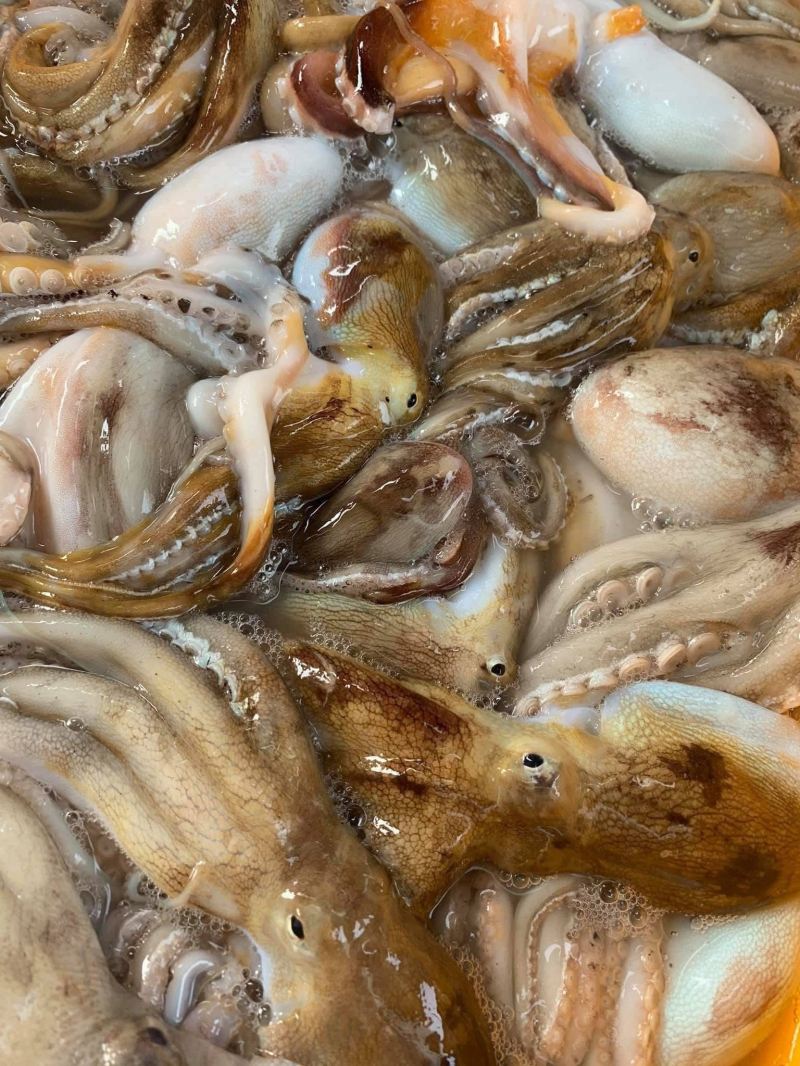 Hải sản Khánh Tiên